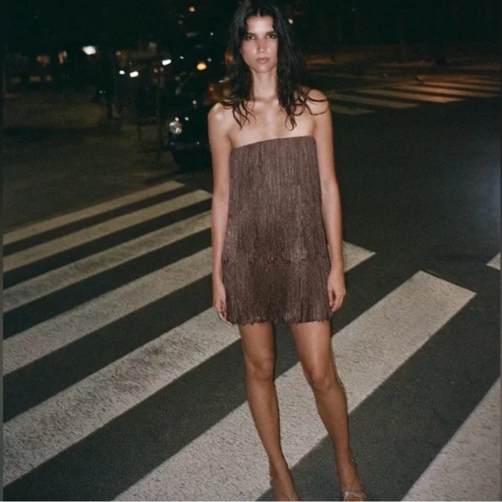 Zara Strapless Fringe Mini Dress in Brown